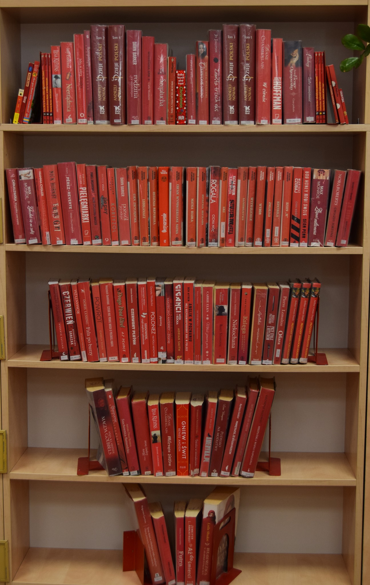 na półce czerwone okładki książek ustawione w kształcie serca